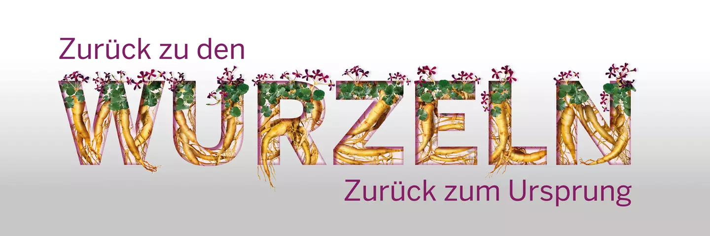 header-umckaloabo-slogan-zurueck-zu-den-wurzeln-zurueck-zum-ursprung